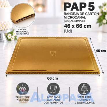 BANDEJA DE CARTÓN EXTRA RÍGIDA PAP 5 46X66CM (Ud)