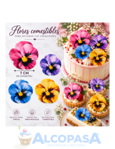 FLOR DE OBLEA PENSAMIENTO (4 MOD) (CAJA 70Uds)