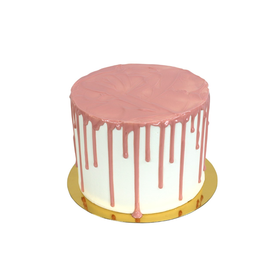 Hide N Seek – Birthday Cake Dog Toy – Hey Cuzzies