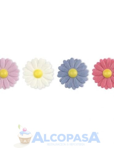 MARGARITAS DOBLES SURTIDAS MODECOR (CAJA 100Uds)